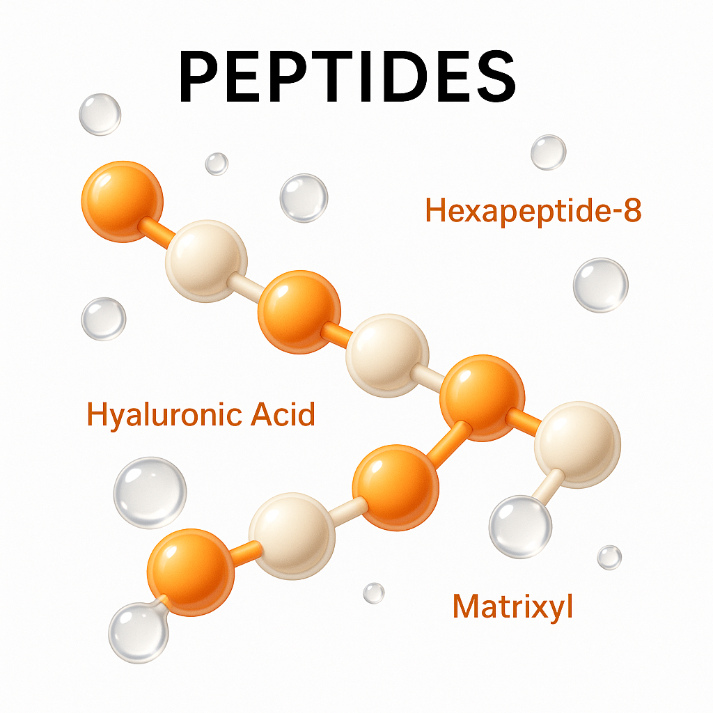 Peptide network & HA droplets